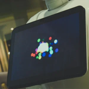 Artificial Intelligence (AI)