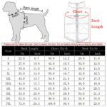 Warm Waterproof Dog Coat for Winter: Sizes S to XL