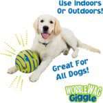 Giggle Glow Ball Interactive Dog Toy: Fun Sounds, TV Featured