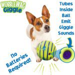 Giggle Glow Ball Interactive Dog Toy: Fun Sounds, TV Featured