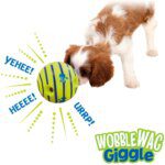 Giggle Glow Ball Interactive Dog Toy: Fun Sounds, TV Featured