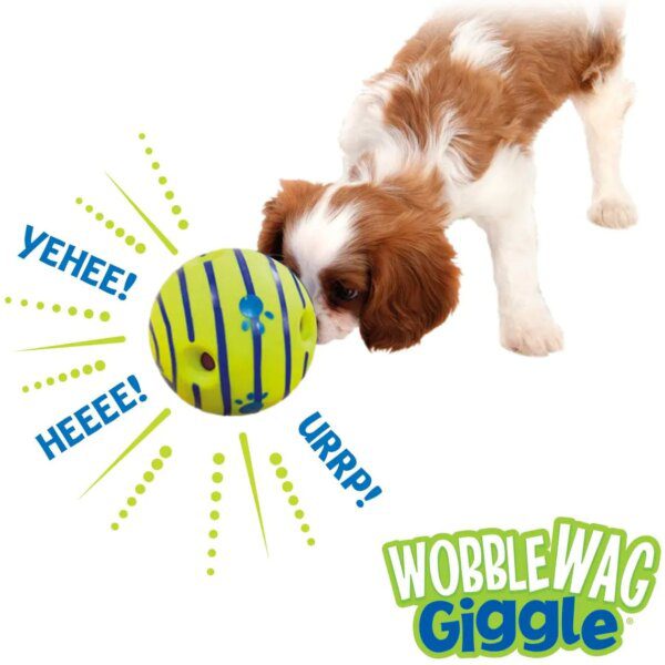 56003-i0leje.jpg Giggle Glow Ball Interactive Dog Toy: Fun Sounds, TV Featured