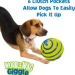 Giggle Glow Ball Interactive Dog Toy: Fun Sounds, TV Featured