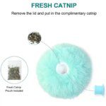 Interactive Smart Cat Catnip Ball: Squeaky Training Toy