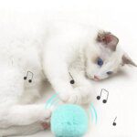 Interactive Smart Cat Catnip Ball: Squeaky Training Toy