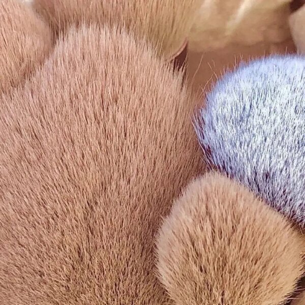 13 PCS Makeup Brushes Set: Eye Shadow Foundation Cosmetic Brush