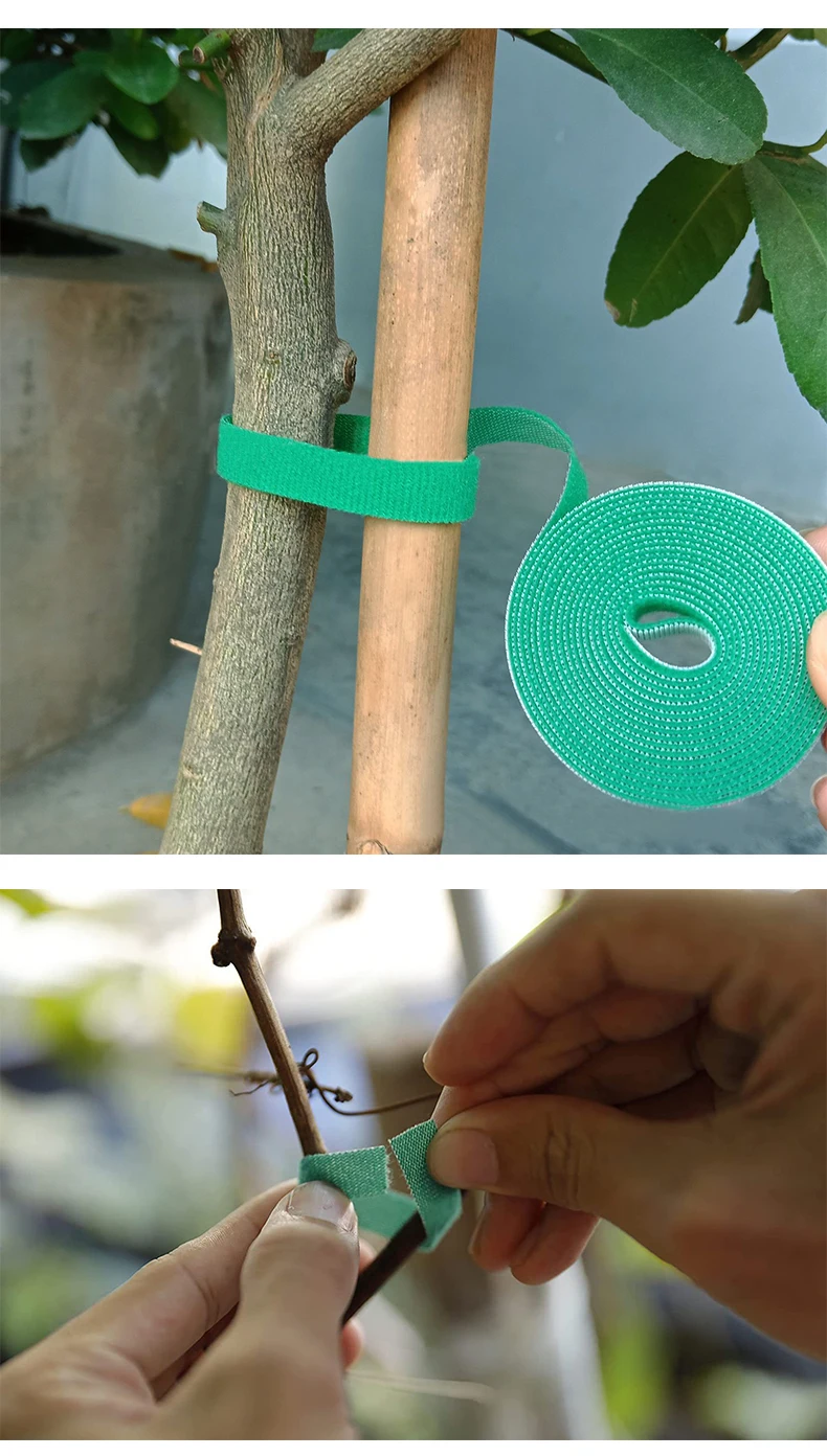 Green Garden Twine: 3 Rolls Plant Ties, Nylon Bandage for Bamboo Cane Support