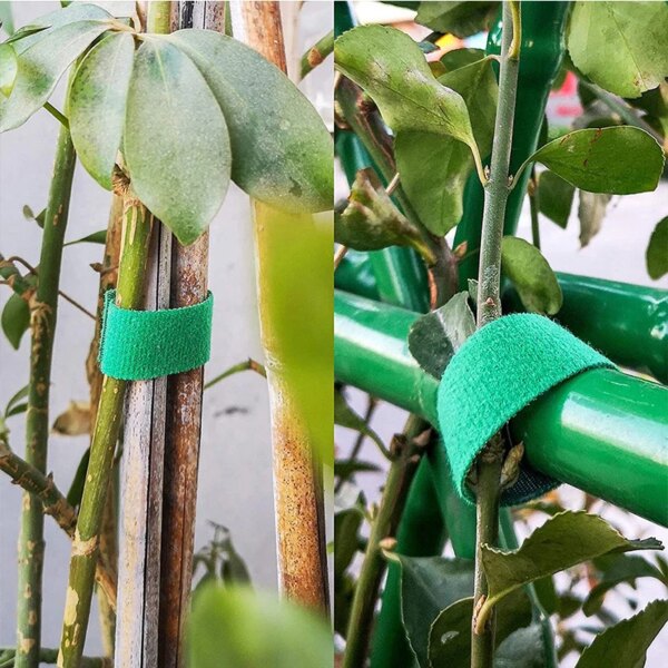 60957-qnnlqt.jpg Green Garden Twine: 3 Rolls Plant Ties, Nylon Bandage for Bamboo Cane Support