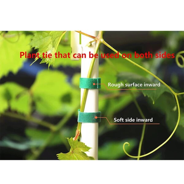 60957-qsxkcs.jpg Green Garden Twine: 3 Rolls Plant Ties, Nylon Bandage for Bamboo Cane Support