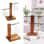 Desktop Glass Planter: Transparent Bulb Vase with Wooden Stand for Hydroponics Plants, Coffee Shop Decor