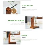 Desktop Glass Planter: Transparent Bulb Vase with Wooden Stand for Hydroponics Plants, Coffee Shop Decor
