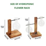 Desktop Glass Planter: Transparent Bulb Vase with Wooden Stand for Hydroponics Plants, Coffee Shop Decor