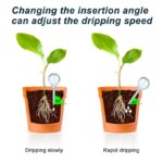 Automatic Plant Water Feeder: Plastical Balls Garden Water Device for Self-Watering Drip Irrigation