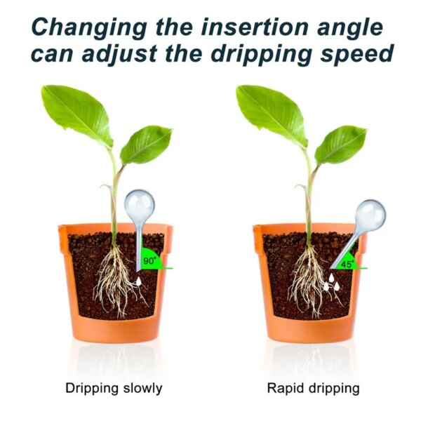 Automatic Plant Water Feeder: Plastical Balls Garden Water Device for Self-Watering Drip Irrigation