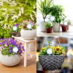 Automatic Plant Water Feeder: Plastical Balls Garden Water Device for Self-Watering Drip Irrigation