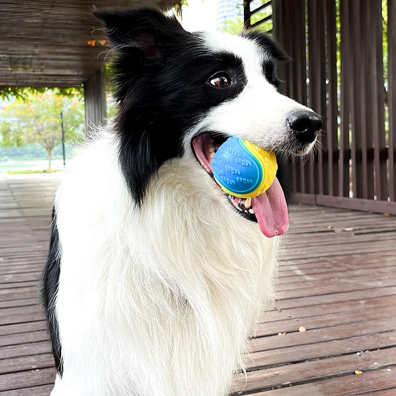 Dogs Interactive Toys Soft TPR Toys for Dogs, Pet Teeth Cleaning, Bite-Resistant Squeaky Dog Ball Toy