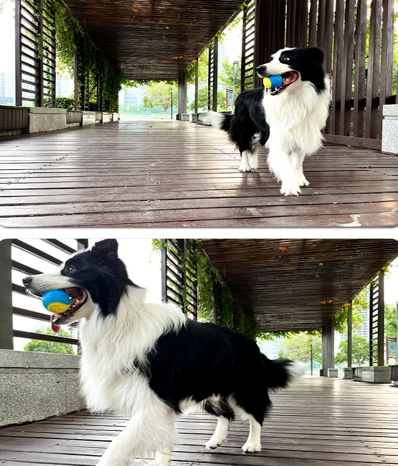 Dogs Interactive Toys Soft TPR Toys for Dogs, Pet Teeth Cleaning, Bite-Resistant Squeaky Dog Ball Toy