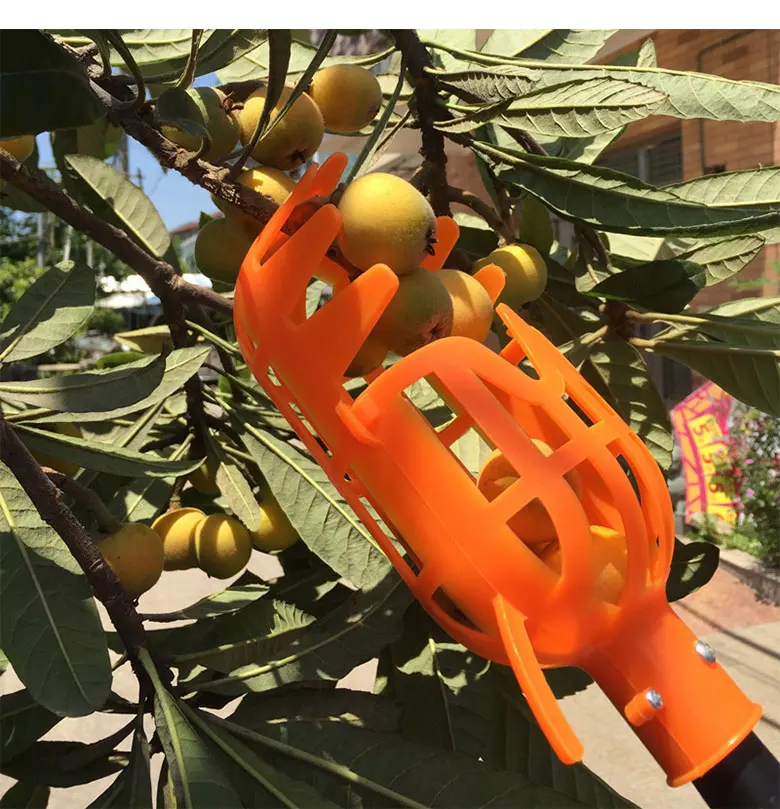 1PC Garden Basket Fruit Picker Head Multi-Color Plastic Fruit Picking Tool Catcher Agricultural Bayberry Jujube Picking Supplies