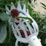 1PC Garden Basket Fruit Picker Head Multi-Color Plastic Fruit Picking Tool Catcher Agricultural Bayberry Jujube Picking Supplies