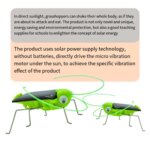 Solar Grasshopper: Educational Science Toy for Kids
