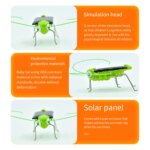 Solar Grasshopper: Educational Science Toy for Kids