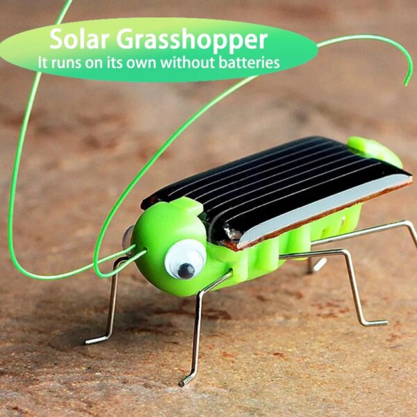 Solar Grasshopper: Educational Science Toy for Kids