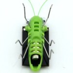Solar Grasshopper: Educational Science Toy for Kids