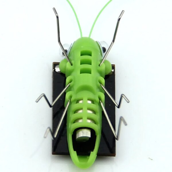 Solar Grasshopper: Educational Science Toy for Kids