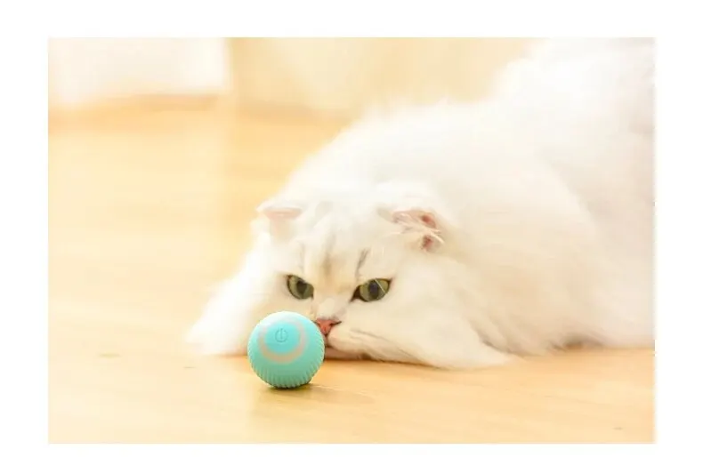 USB Charging Gravity Intelligent Rolling Ball Cat Toy: Teeth-Grinding and Bite-Resistant Pet Accessory