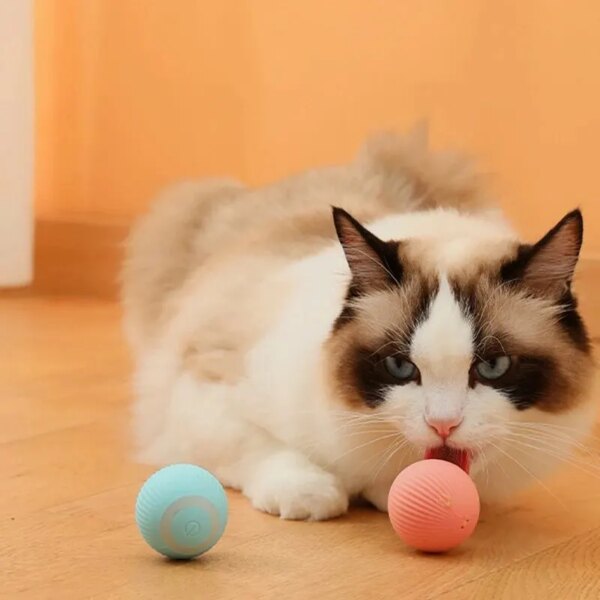 USB Charging Gravity Intelligent Rolling Ball Cat Toy: Teeth-Grinding and Bite-Resistant Pet Accessory