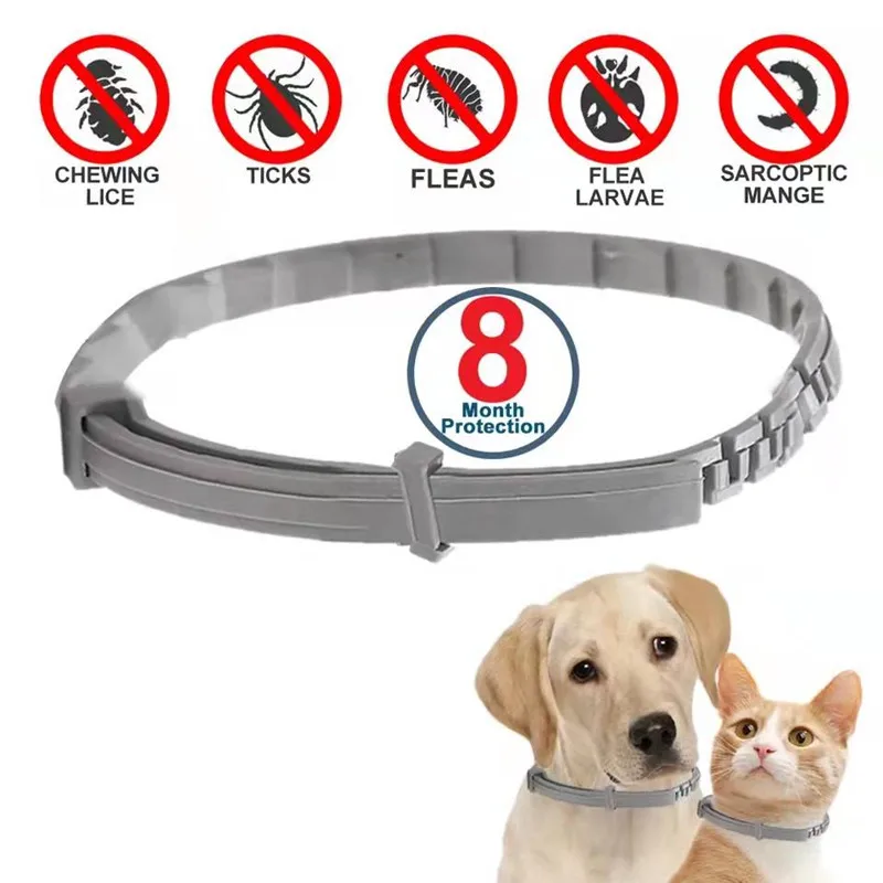 8-Month Protection Retractable Pet Collar: Anti-Flea and Tick for Dogs and Cats