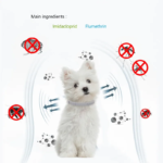 8-Month Protection Retractable Pet Collar: Anti-Flea and Tick for Dogs and Cats