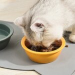 Waterproof and Non-Slip Pet Placemat: Prevents Food and Water Spills, Easy to Clean