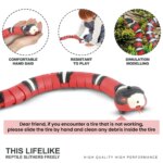 Interactive Automatic Electronic Snake Cat Teaser: Smart Sensing Kitten Toy, USB Rechargeable