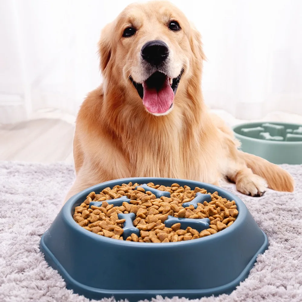 New Pet Dog Feeding Food Bowl: Slow Down Eating Feeder Dish, Prevents Obesity, Food Storage