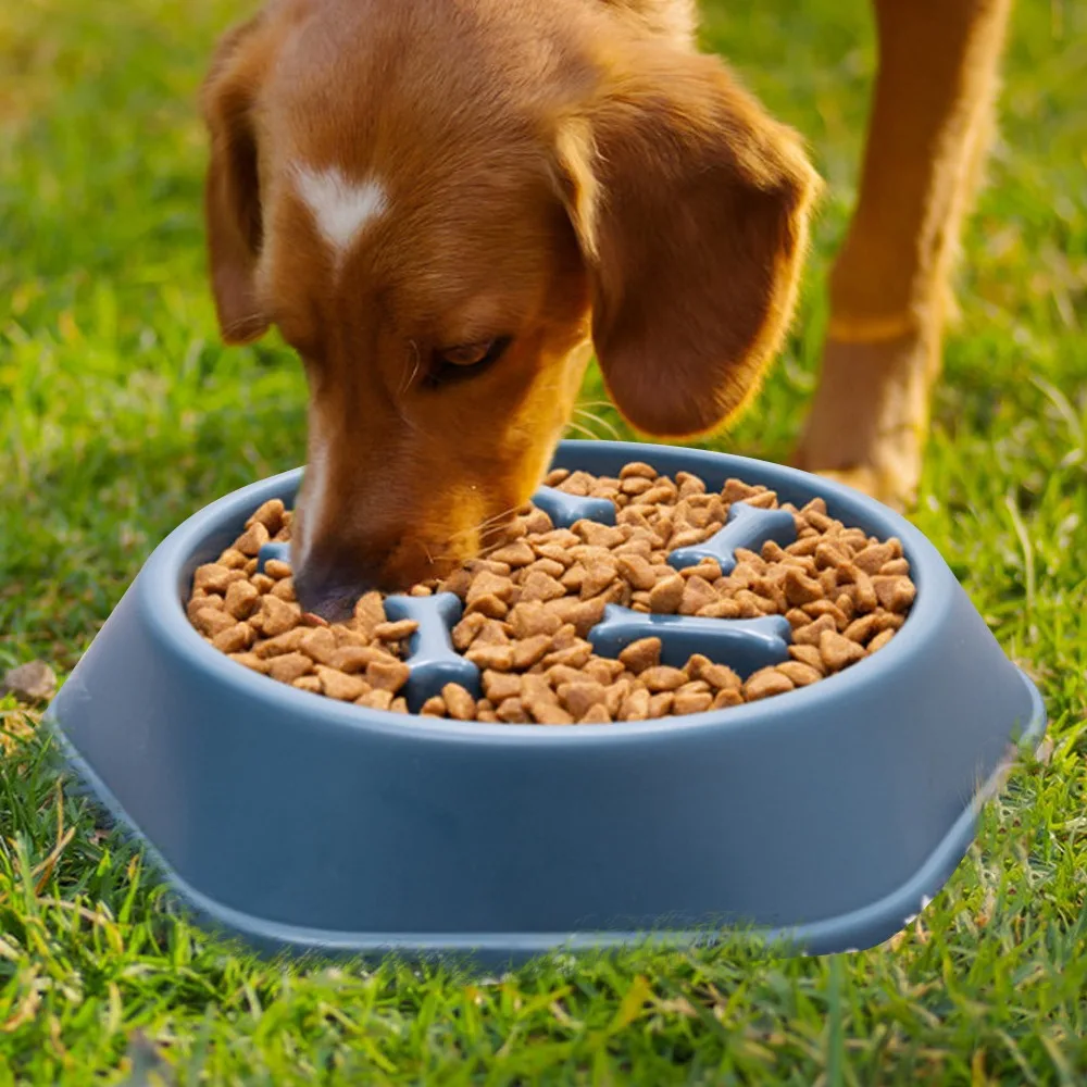 New Pet Dog Feeding Food Bowl: Slow Down Eating Feeder Dish, Prevents Obesity, Food Storage