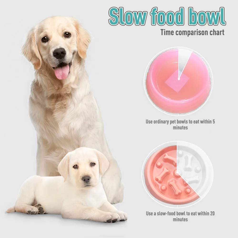 New Pet Dog Feeding Food Bowl: Slow Down Eating Feeder Dish, Prevents Obesity, Food Storage