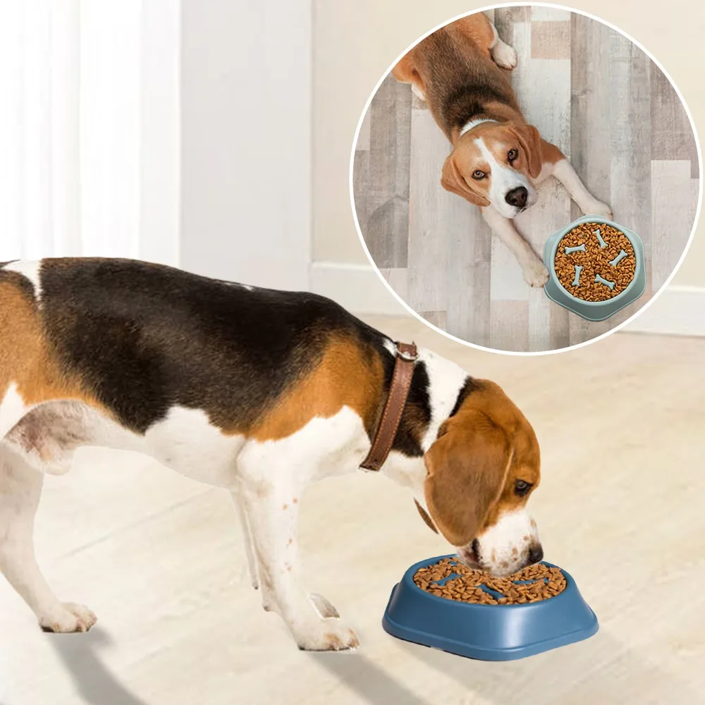 New Pet Dog Feeding Food Bowl: Slow Down Eating Feeder Dish, Prevents Obesity, Food Storage