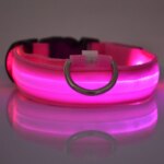 Fluorescent Nylon LED Dog Leash: Night Safety Flashing Glow Collar