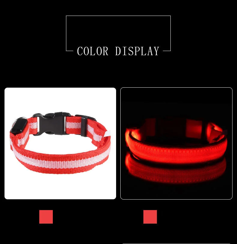 Fluorescent Nylon LED Dog Leash: Night Safety Flashing Glow Collar