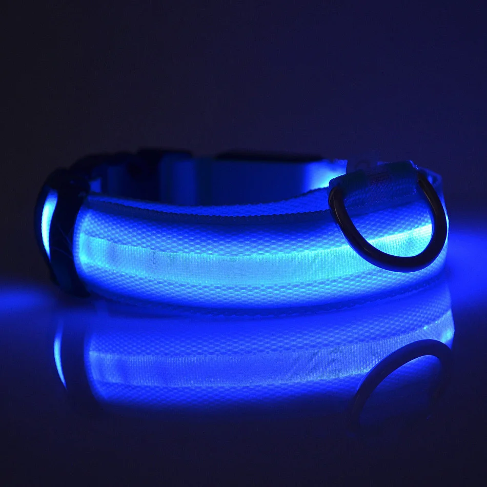 Fluorescent Nylon LED Dog Leash: Night Safety Flashing Glow Collar