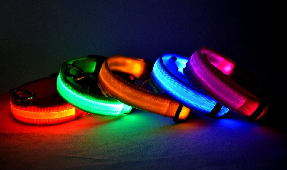 Fluorescent Nylon LED Dog Leash: Night Safety Flashing Glow Collar