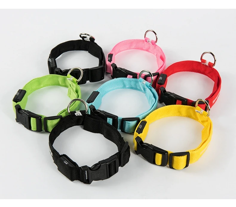 Fluorescent Nylon LED Dog Leash: Night Safety Flashing Glow Collar