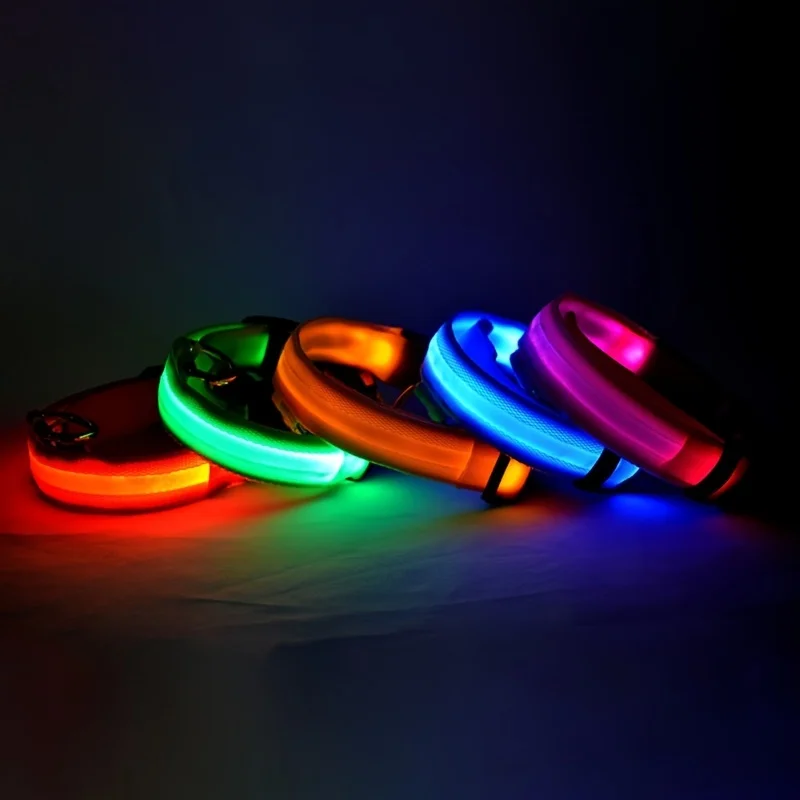 Fluorescent Nylon LED Dog Leash: Night Safety Flashing Glow Collar