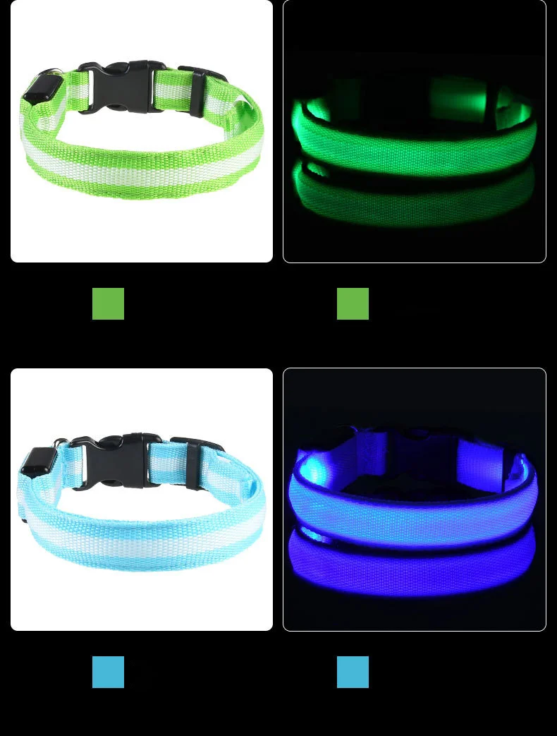 Fluorescent Nylon LED Dog Leash: Night Safety Flashing Glow Collar