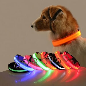 LED Dog Leash