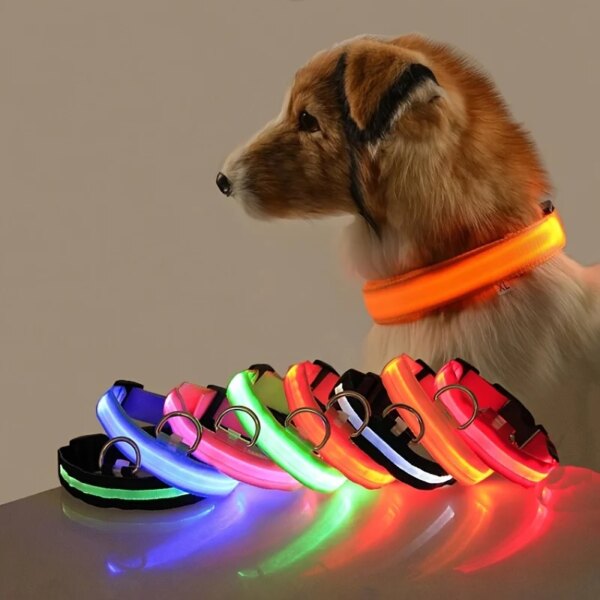 69265-zhbvg5.jpg LED Dog Leash