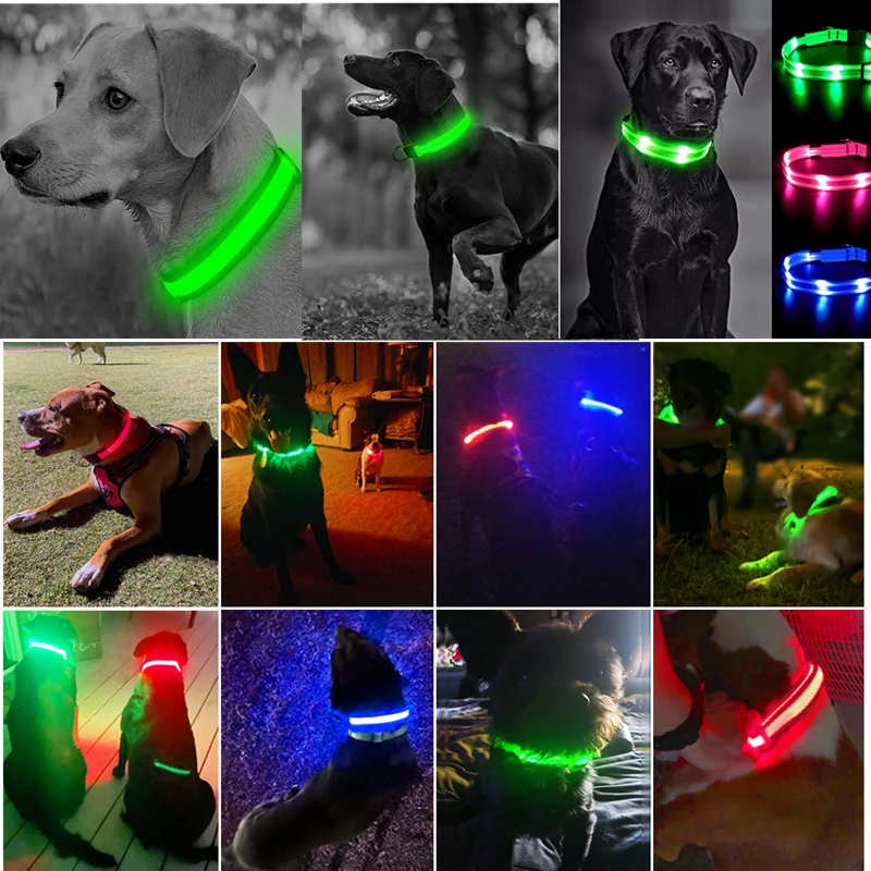 Adjustable LED Glowing Dog Collar: Flashing Rechargeable Luminous Collar for Night Safety