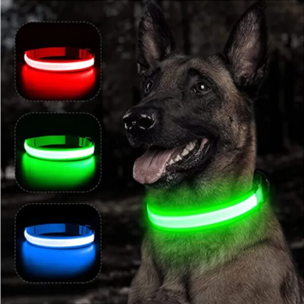 69329-jatbga.jpg Adjustable LED Glowing Dog Collar: Flashing Rechargeable Luminous Collar for Night Safety