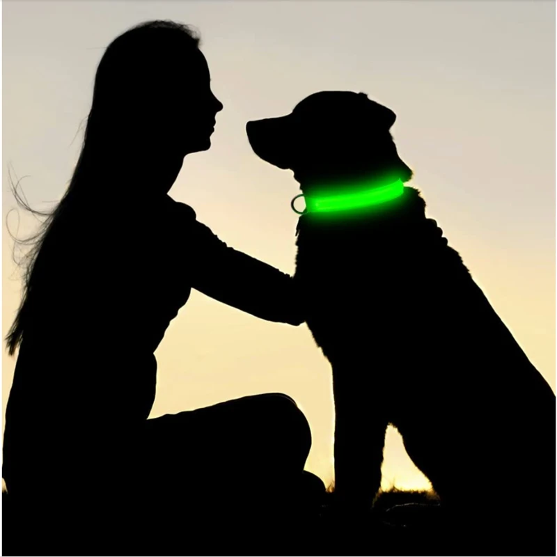 Adjustable LED Glowing Dog Collar: Flashing Rechargeable Luminous Collar for Night Safety